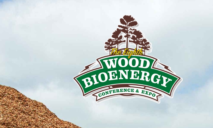 Wood bioenergy conference flyer