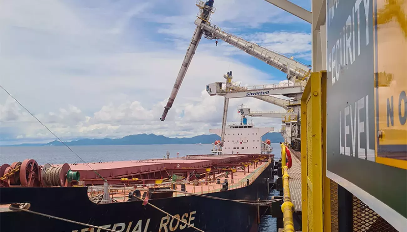 Two Siwertell ship unloaders