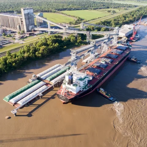 Bruks ship loaders