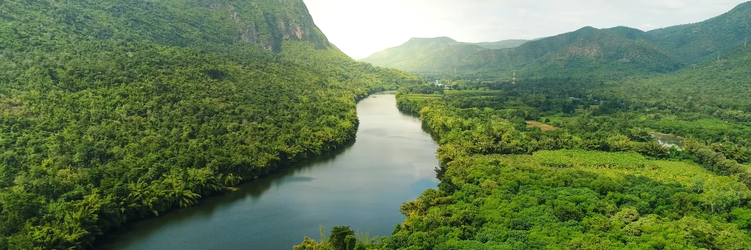 sutainability amazon river and forest