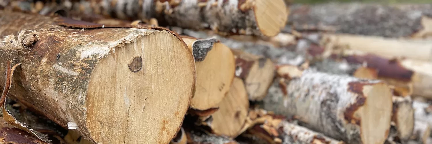 Wood logs