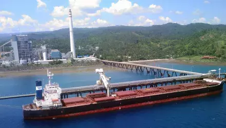 Siwertell ship unloader in Philippines