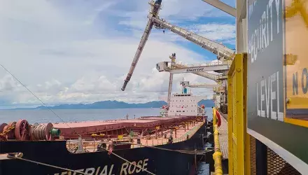 Two Siwertell ship unloaders
