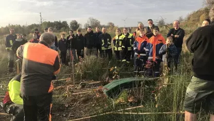 People planting trees