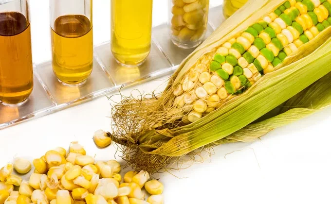 biofuels industry