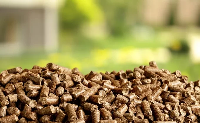 pellets