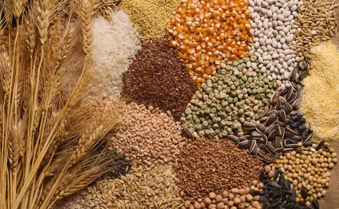 mixed grains