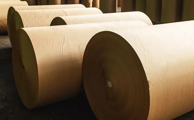 paper rolls